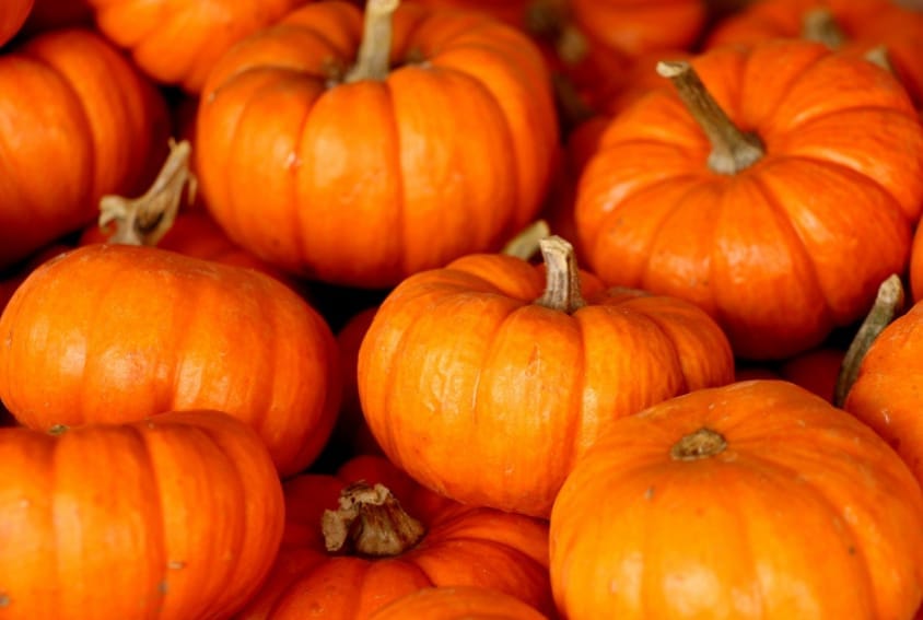 Halloween in North Cornwall