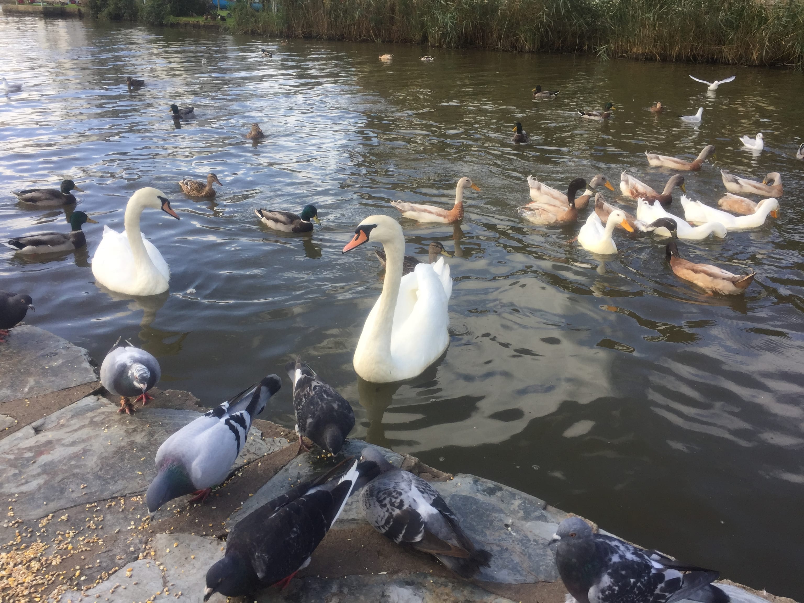 Things to do in Bude