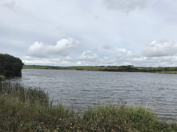 Tamar Lakes