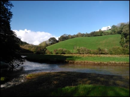 Kilminorth Woods