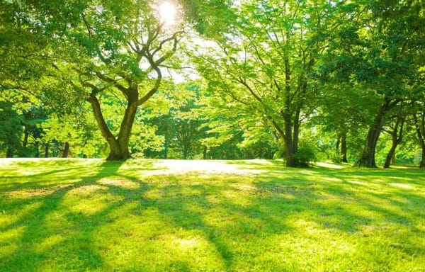 Pengover Park