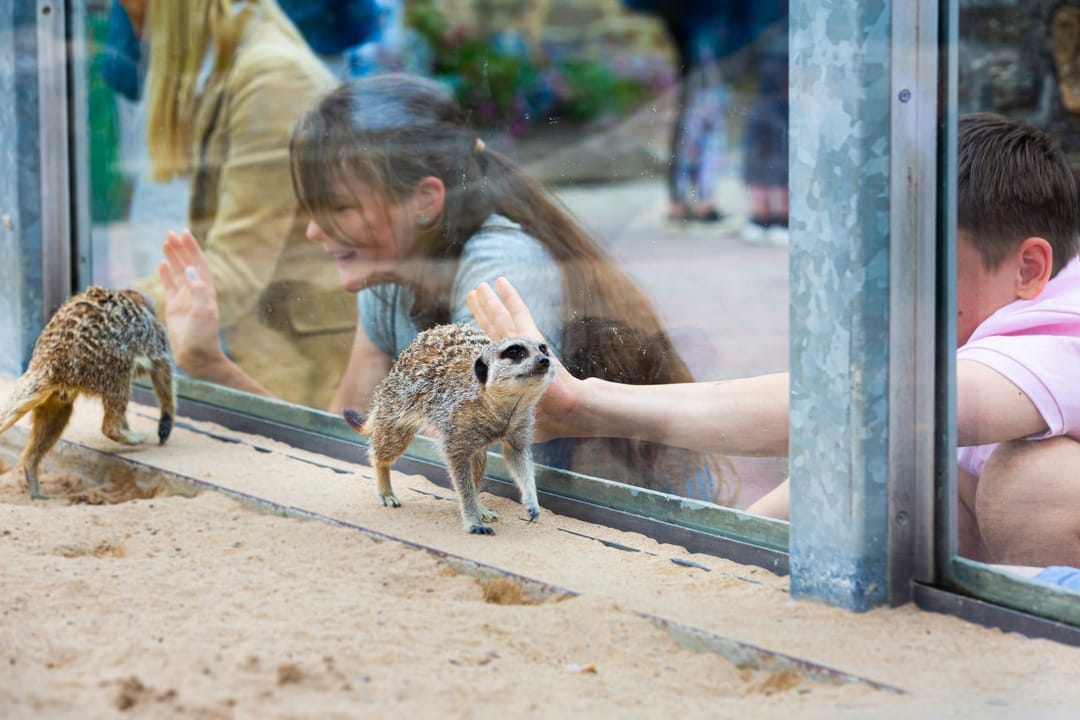 Camel Creek Adventure Park - image 2