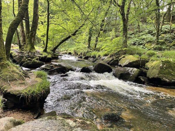 Golitha Falls