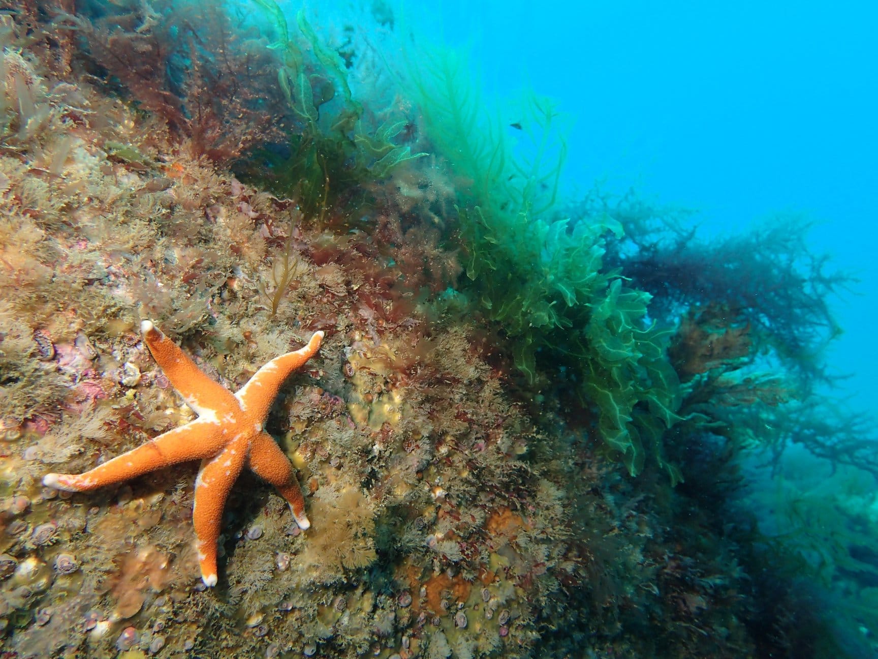 National Marine Week