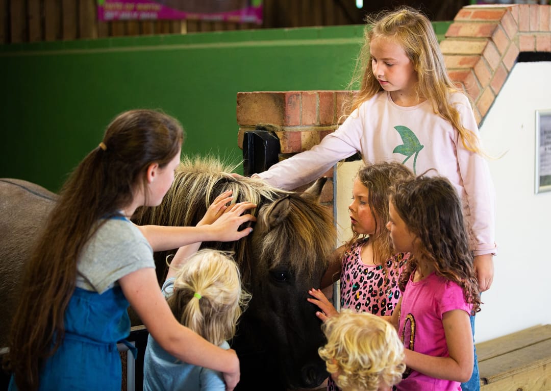 Camel Creek Adventure Park - image 3