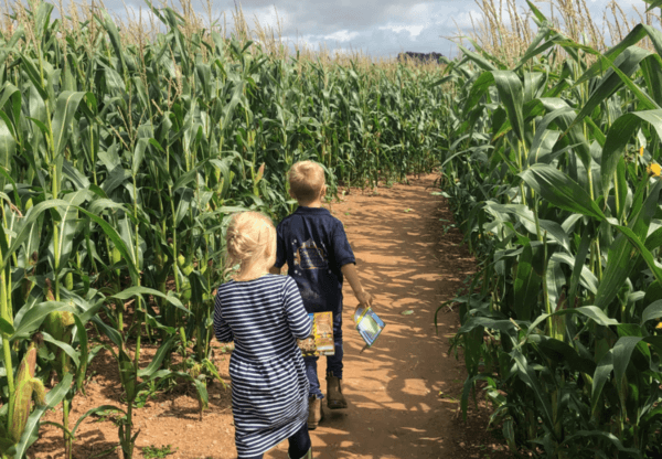 Halloween in North Cornwall