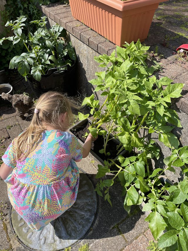 Tips to Get Your Kids into Gardening